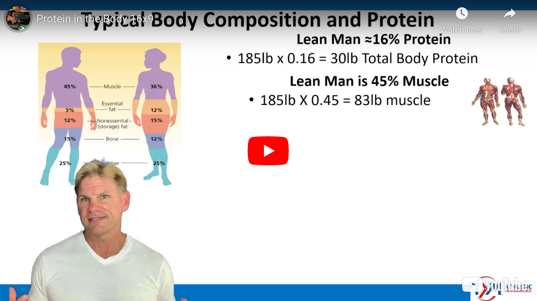 Muscle vs Total Body Protein