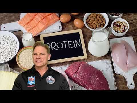 Nutrition Bite - Protein