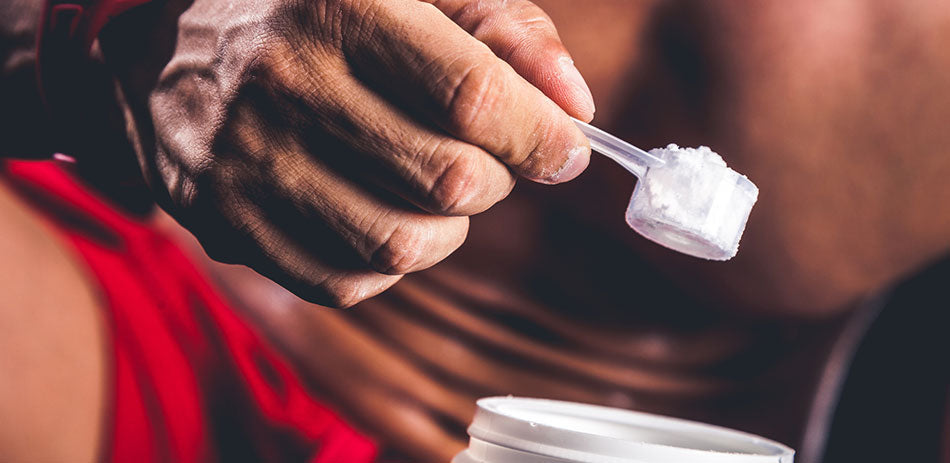 Amino Acids: Protein Building Blocks and more