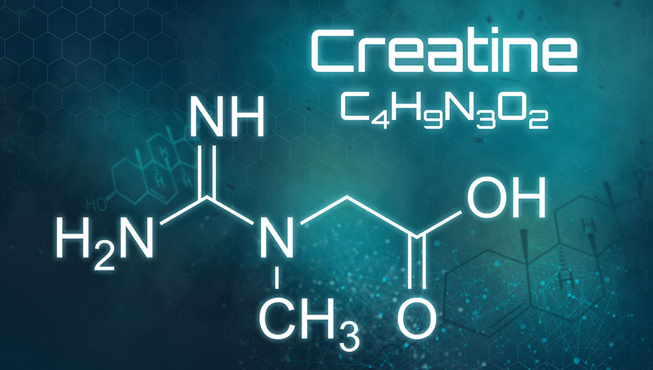 Creatine: The Mighty Amino