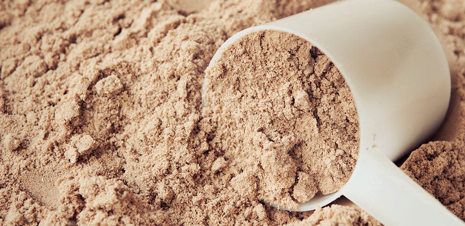 Protein 101
